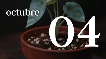 04 OCTUBRE