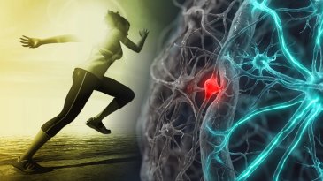 Actividad f&iacute;sica y demencia: &iquest;qu&eacute; dice la ciencia?