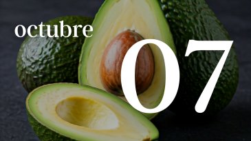 07 OCTUBRE