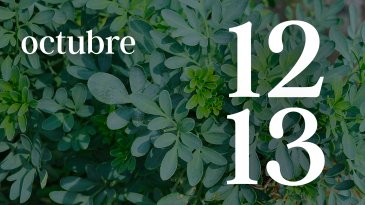 12 y 13 OCTUBRE
